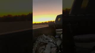 Evening goose hunt success Video coming soon waterfowl goosehunt duckseason2024 [upl. by Canale174]