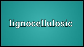 Lignocellulosic Meaning [upl. by Wershba76]