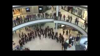 An unforgettable flash mob sings [upl. by Ahseenal]