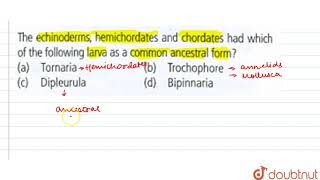 The echinoderms hemichordates and chordates had which of the following larve as a [upl. by Ybor129]