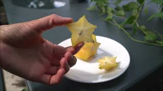 Фрукт Карамбола Звездчатый фрукт Carambola Star fruit [upl. by Leruj690]