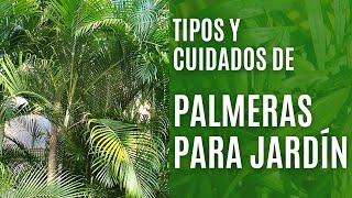 9 tipos de PALMERAS de jardín y sus cuidados [upl. by Eiruam908]