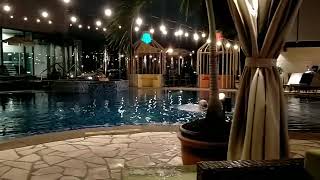 Aerotel swimming pool Changi airport Singapore airports pools travel airtravel [upl. by Hnahk]