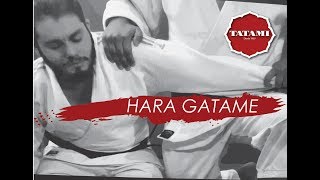 Hara Gatame  Golpes de Judo  Judo Tatami 50 anos [upl. by Eelloh723]