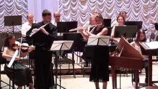 Doppler F ConcertParaphrase Op 18 for 2 Flutes and Orchestra [upl. by Essilec950]