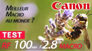 Test Canon RF 100mm F28 MACRO  Meilleur MACRO au monde [upl. by Rubio]