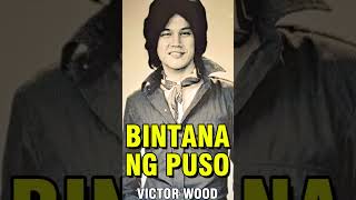 Bintana Ng Puso  Victor Wood ♫ Top 100 OPM Songs ♫ Victor Wood Greatest Hits [upl. by Enitsej558]