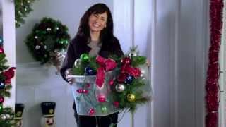 PetSmart commercial  2011 Holiday Campaign quotHoliday Lightsquot [upl. by Harriet]