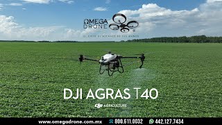 DJI Agras T40  Español  Omega Drone [upl. by Bonni]