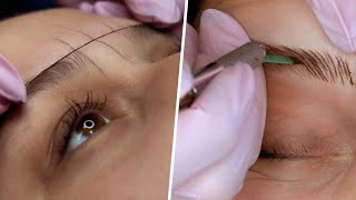 FULL MICROBLADING PROCESS  STEP BY STEP [upl. by Rainer809]