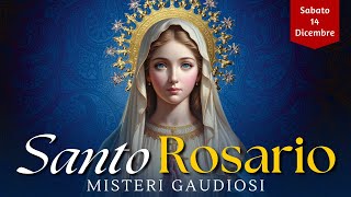 Il Santo Rosario di oggi Sabato 14 Dicembre 2024 Misteri Gaudiosi [upl. by Fezoj]