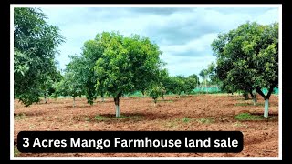 3 Acres of Well Maintainted Mango Farm For Sale  Bangalore city 80 km only [upl. by Hermia4]