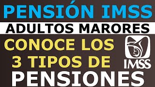 💥Necesitas Saberlo 📢3 TIPOS DE PENSION conoce los REQUISITOS para INSCRIBIRTE la Pensión IMSS [upl. by Dena]