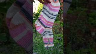 Socks in my garden [upl. by Nnahsal]