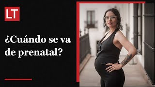 Ministra Camila Vallejo revela la fecha exacta de su prenatal [upl. by Mariand]