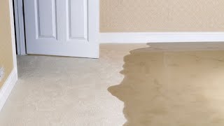 How to Protect Your Home from Water Leaks [upl. by Kassie]