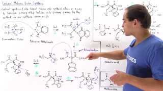 Gabriel Malonic Ester Synthesis [upl. by Shelah]