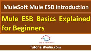 MuleSoft Mule ESB Introduction  Mule ESB Basics Explained for Beginners  What is MuleSoft ESB [upl. by Tadich]