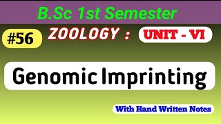 Genomic Imprinting  Genetics  what is genomicimprinting bsc msc genomic bsczoology bscclas [upl. by Davidde404]