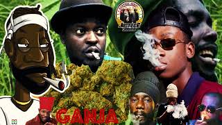 🌱 Ganja  Herbs  Marijuana 🌿 Weed  Cannabis  Reggae Ganja Songs 🌿 Justice Sound [upl. by Ibbie]