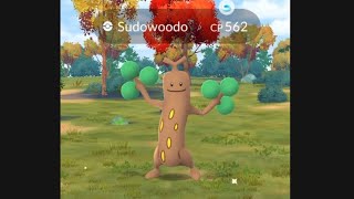 2 Sudowoodo amp Surskit Spotlight [upl. by Eimerej550]