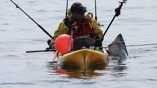 Porbeagle shark Catch and release huge one from a kayak Malin head [upl. by Amek773]