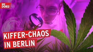 Ärger um den legalen Anbau von Cannabis  KifferChaos in Berlin  rbb24 Reportage [upl. by Leugimsiul150]