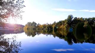 Lac paisible à laube nature chants doiseaux sans musique Sons naturels Paix calme relaxant [upl. by Krell822]