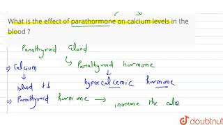 What is the effect of parathormone on calcium levels in the blood [upl. by Sitruc]