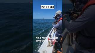 군산 문어낚시  해무늬호 240721 문어낚시 군산문어낚시 해무늬호 fishing [upl. by Balthasar396]