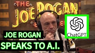 Joe Rogan Talks to AI [upl. by Lucilla]