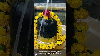 శ్రీ విశ్వనాథాష్టకం  Vishwanathashtakam With Lyrics  Lord Shiva Bhakthi Songs  Bhakthi Songs [upl. by Lela]