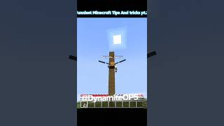 Funniest Minecraft Tips And tricks pt2 DynamiteOP5 minecraft minecraftmemes technogamer sub [upl. by Kcirdlek]