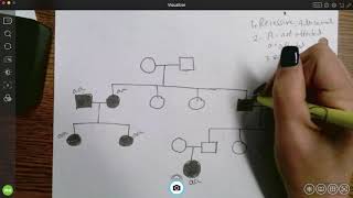 Genotypes and pedigrees [upl. by Aesoh248]