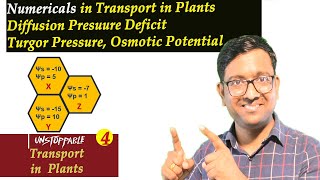 Numericals in Transport Of Plants I Diffusion Pressure deficit I NEET I Dr Kunal KT [upl. by Yer470]