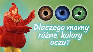 Dlaczego mamy różne kolory oczu  Dzieci pytają KOGUT RUBIN odpowiada [upl. by Ardnad]