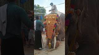 tusker with full decorationplz subscribe for more videos [upl. by Algar]