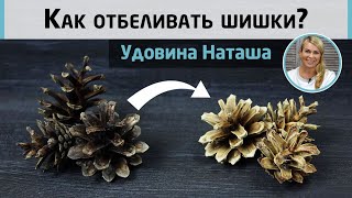 Как отбеливать шишки Эксперимент с удачным исходом от Удовиной Наташи [upl. by Llehctim616]