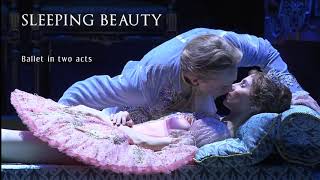 Svetlana Zakharova and David Hallberg quotSleeping beautyquot Act 1 The Bolshoi theatre 2011 [upl. by Knarf]