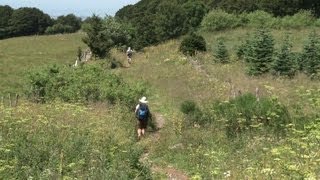 Le chemin de Compostelle une route vers soi [upl. by Aehtela]