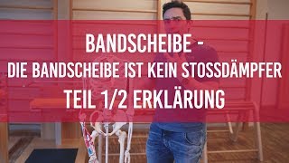 Bandscheibe Teil 12  Funktion der Bandscheibe verstehen 🔸Bandscheibenvorfall [upl. by French]