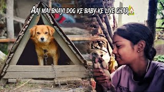 Aaj mai bnayi kutte ke bache ke liye Ghar🏡doglovervlogvloggingSA [upl. by Svetlana]