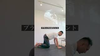 プランク初心者はこの運動からシニアトレーニング ダイエット初心者 プランク初心者 [upl. by Yraccaz]