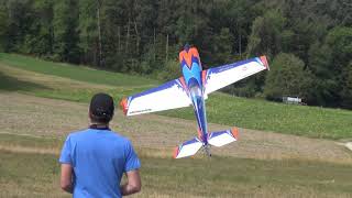 Kunstflug mit einem ferngesteuertem Modell Flugzeug [upl. by Walrath]