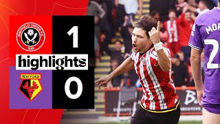 Sheffield United 10 Watford  EFL Championship highlights [upl. by Anneuq656]