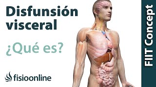 ¿Qué es una disfunción visceral [upl. by Ariel]