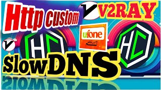 How to Set Up V2Ray DNS on HTTP Custom VPN for Secure Browsing [upl. by Yeclek314]