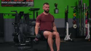 Seated Double Dumbbell Hammer Curl [upl. by Reider]