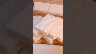 How to make wafer at homemaking homemade wafer [upl. by Noraha343]