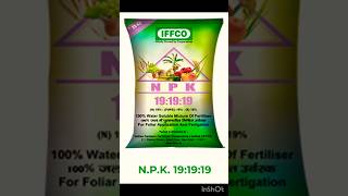 NPK fertilizer Npk 19 19 19 water soluble fertilizer npk shorts [upl. by Acinomahs]